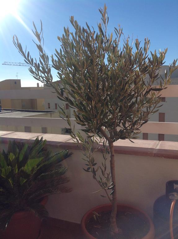 Villamari Apartment Alghero Exterior photo